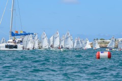 Budget Marine Opti Champ 1 <br /> <p> December 25th 2022</p>