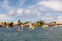 Dinghy Racing panorama