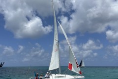 IMG_4352