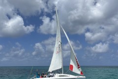 IMG_4353