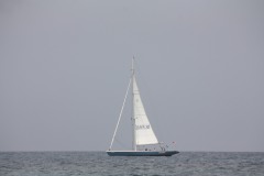 IMG_7660