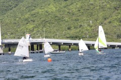 IMG_8239