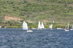 IMG_8246