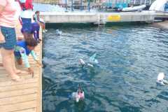 WhatsApp-Image-2025-07-02-at-14.49.26_029fb760