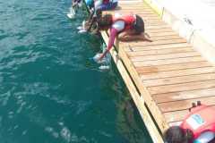 WhatsApp-Image-2025-07-02-at-14.49.26_88d97ce6