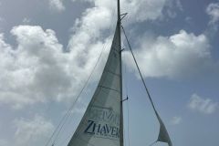 WhatsApp-Image-2025-07-04-at-11.49.18_5d768fbe